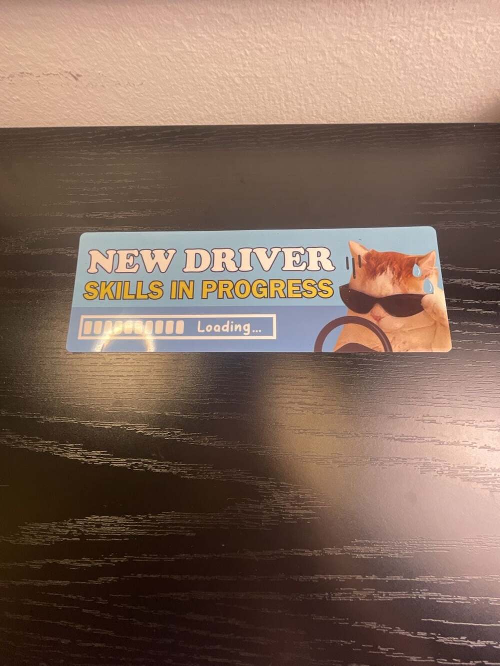Generic New Driver Car Magnet Funny Cat Skills in Progress Bumper Sign